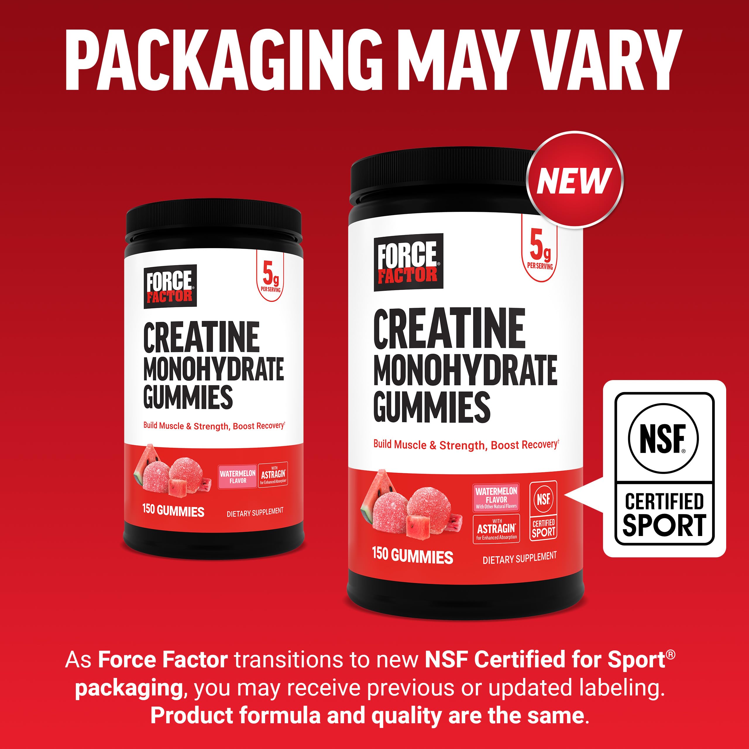 Force Factor Creatine Gummies in a backpack for gym-ready convenience.