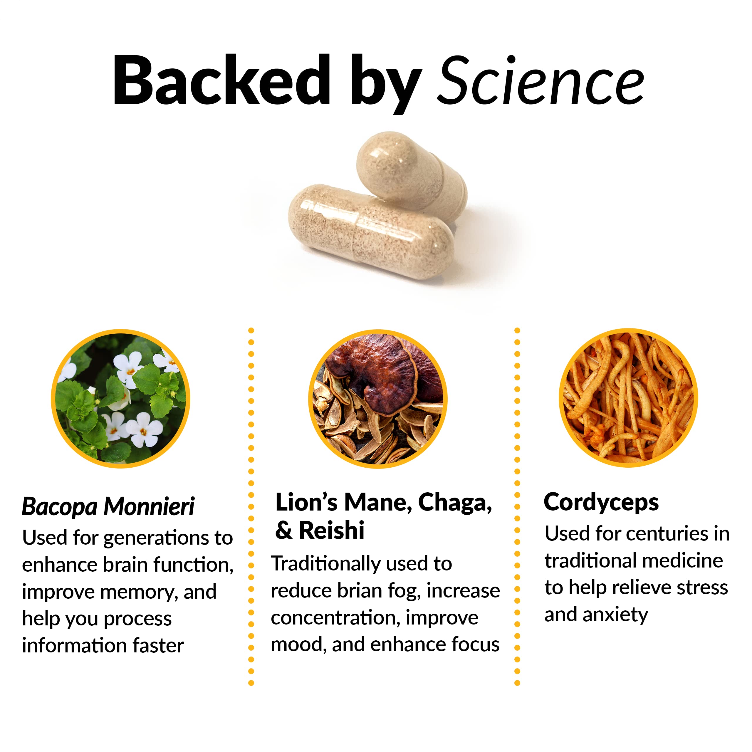 Label detail on Force Factor Forebrain Focus emphasizes key ingredients