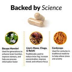 Force Factor Forebrain Focus label showcases nootropic blend and ingredients.