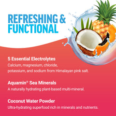 Force Factor Liquid Labs being stirred into water to create a flavorful electrolyte drink.