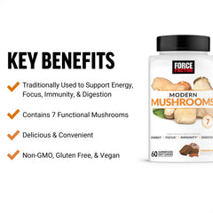 Close-up of Modern Mushrooms Soft Chews showing chewy texture for focus.