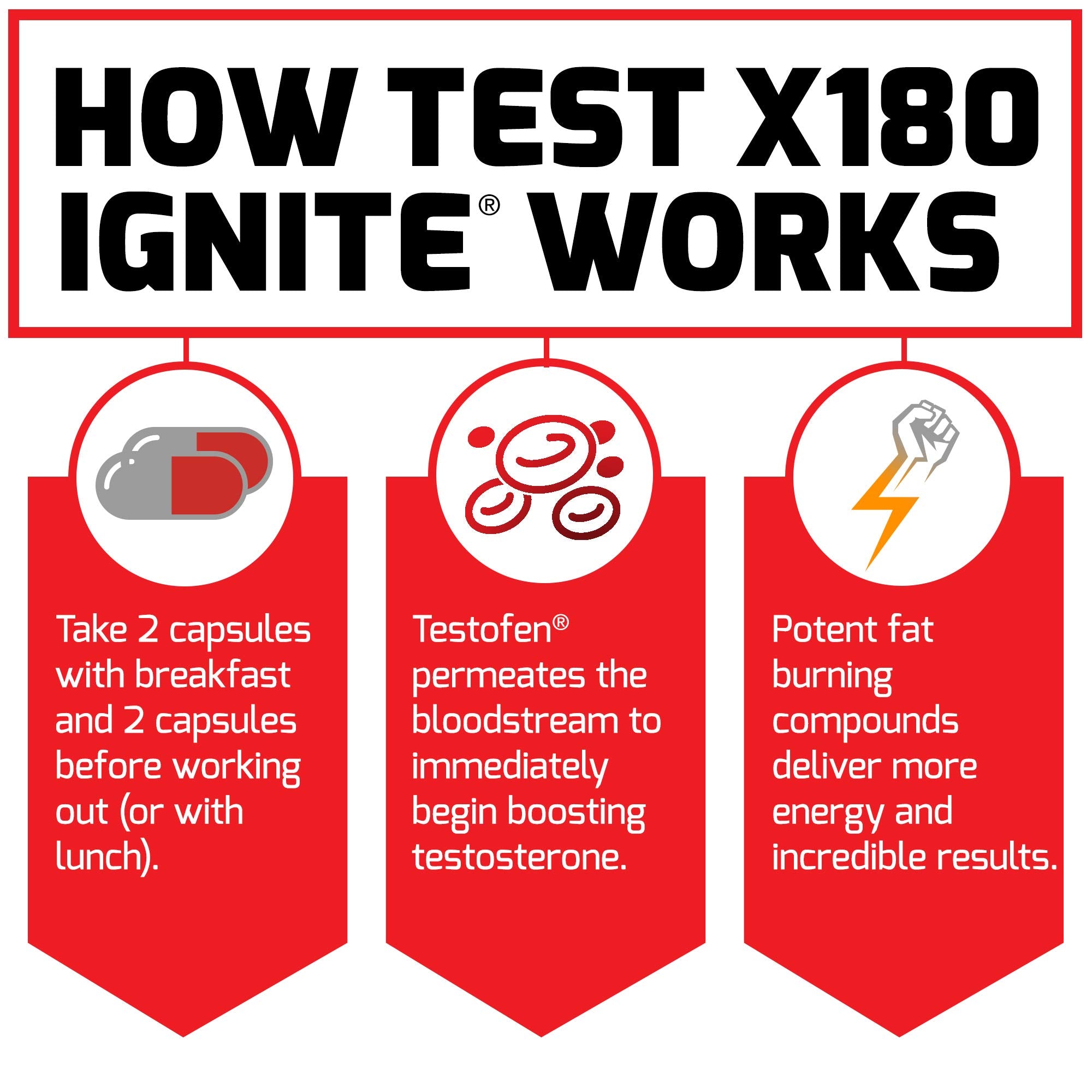 Force Factor Test X180 Ignite promotes lean muscle formation during workouts.