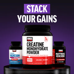 Force Factor Test X180 PM ingredients zinc-magnesium blend detail