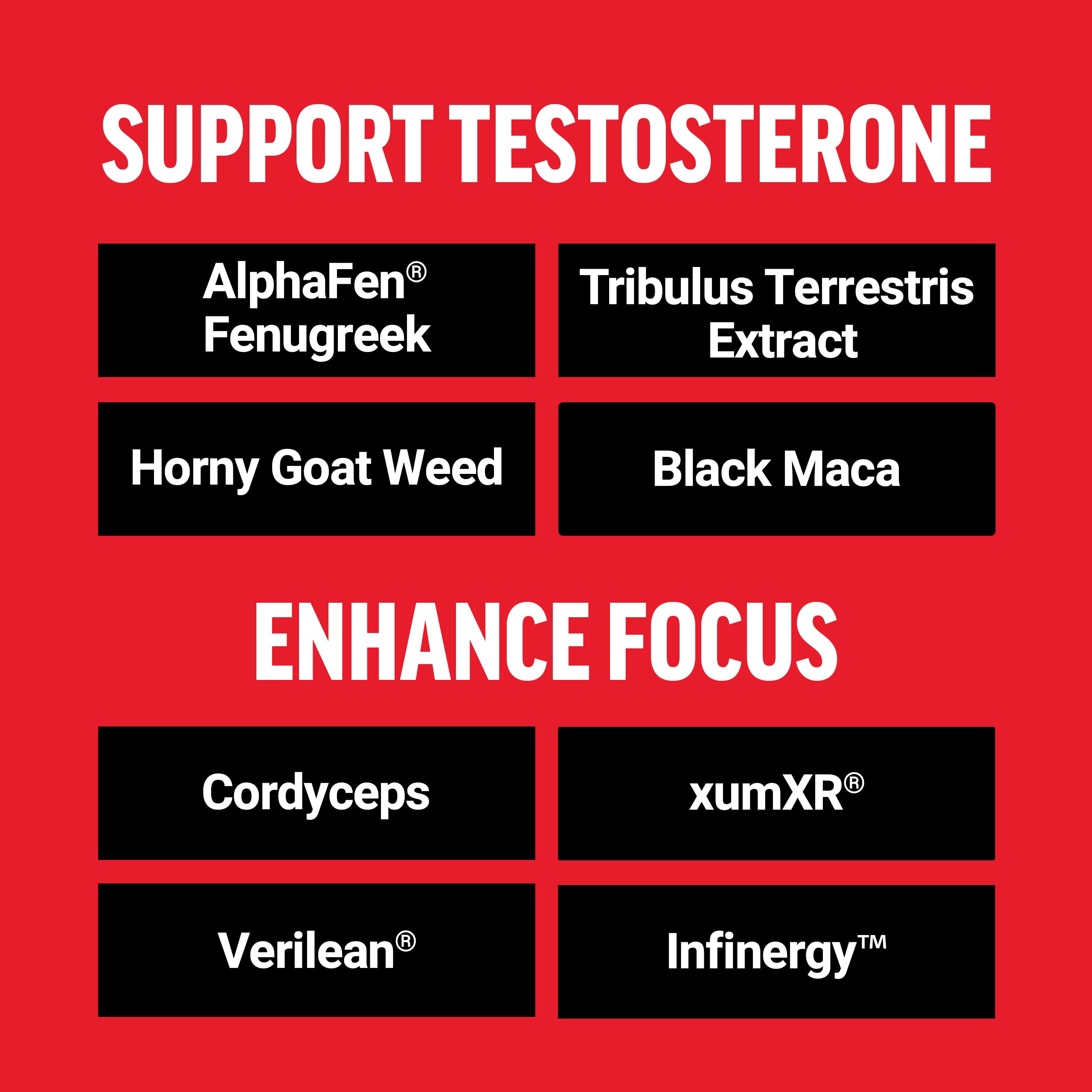 Force Factor Test X180 Surge capsules ready for daily use supporting energy and focus