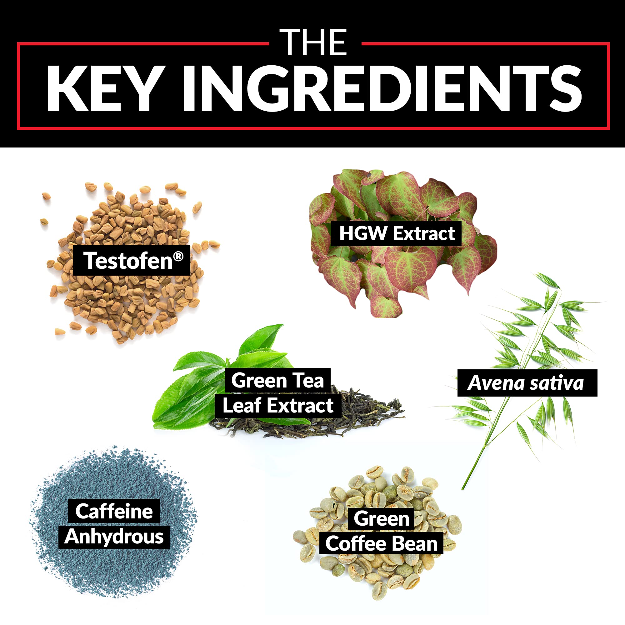 Force Factor Test X180 Ignite features Testofen fenugreek extract for lean training support