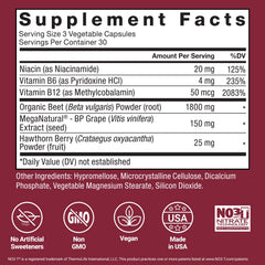 Beet root powder scoop indicating 1800mg per serving in Total Beets