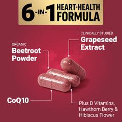 Force Factor Total Beets capsules closeup emphasizes beet root and CoQ10 ingredients.