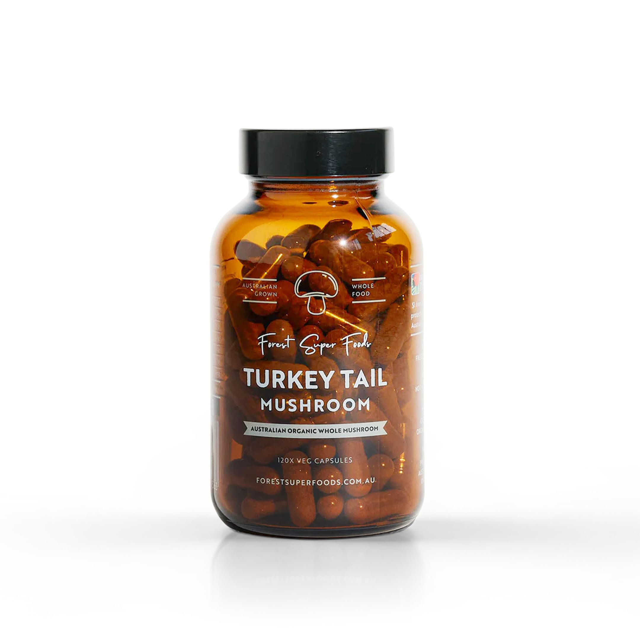 Forest Super Foods Turkey Tail bottle on kitchen counter for gut support.