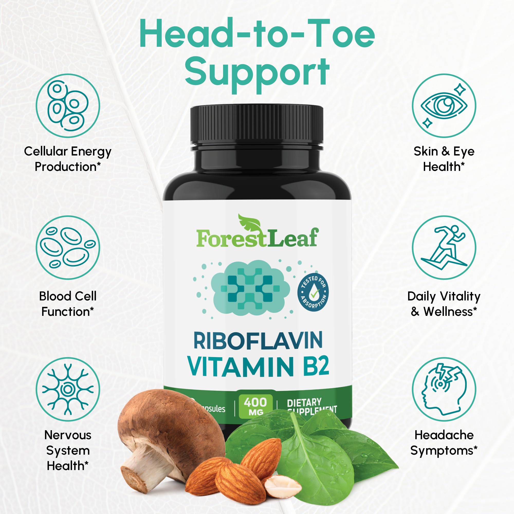 ForestLeaf B2 riboflavin bottle front promotes daily energy and general wellness.