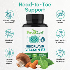 ForestLeaf B2 riboflavin bottle front promotes daily energy and general wellness.