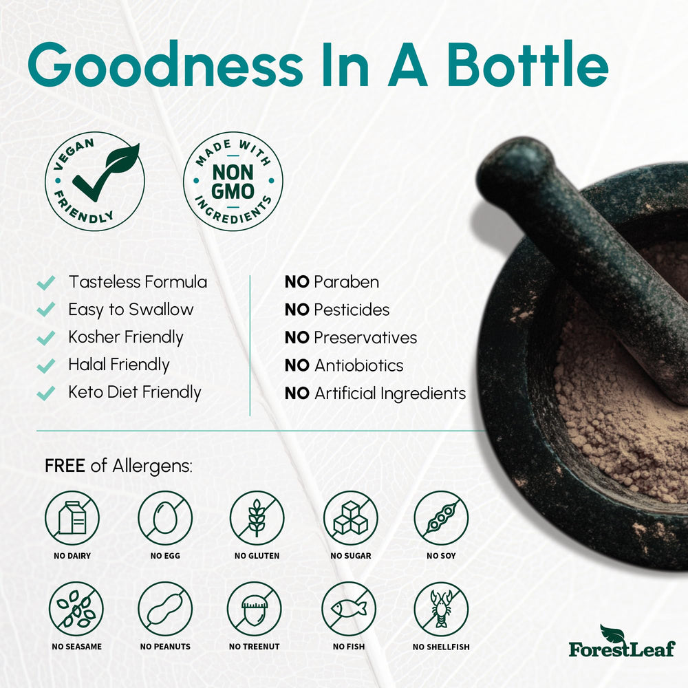 ForestLeaf B2 riboflavin two-pack packaging design highlights clean labeling.