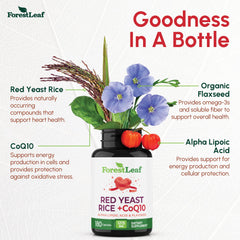 ForestLeaf CoQ10 capsules visible, supporting cellular energy in daily life