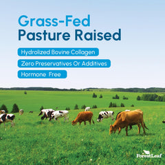 ForestLeaf dairy-free gluten-free note appeals to sensitive diet shoppers.