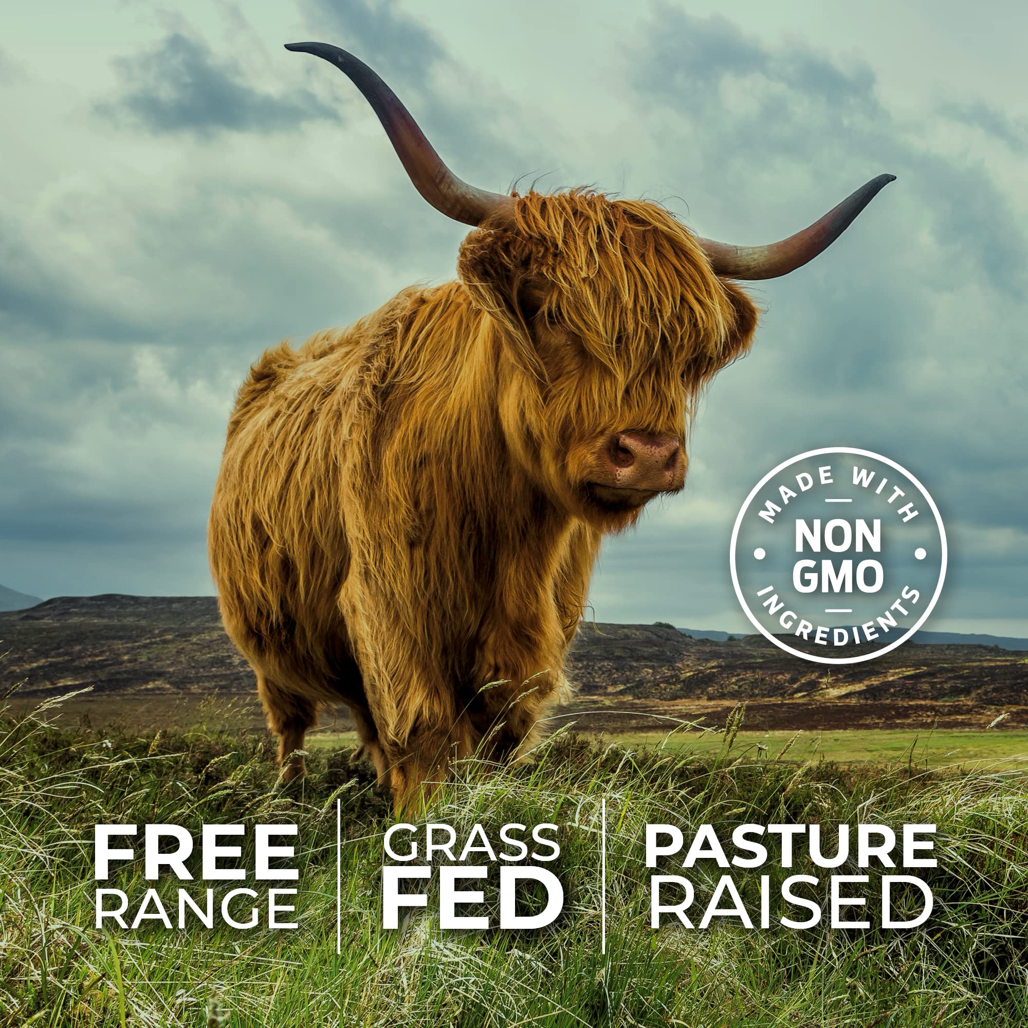 ForestLeaf grass-fed pasture-raised label signals high-quality ingredients and ethical sourcing.