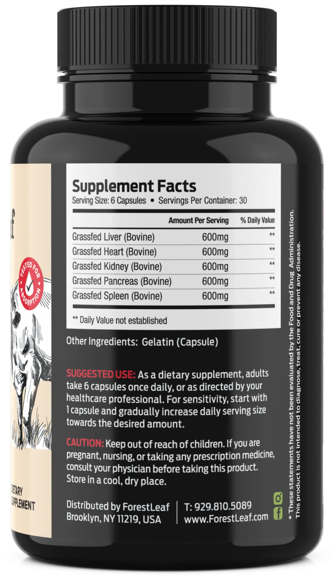 ForestLeaf liver-heart-kidney-pancreas-spleen capsules close-up demonstrate multi-organ nutrition for resilience.