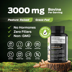 ForestLeaf organ meat blend close-up suggests broad nutritional support.