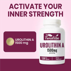 ForestVibe Urolithin A label closeup with clear ingredients.