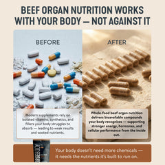 FORGEBODY Beef Organ Complex liver and pancreas close-up for nutrient-rich options