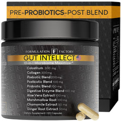 Formulation Factory Gut Intellect bottle with capsules on display for gut health.