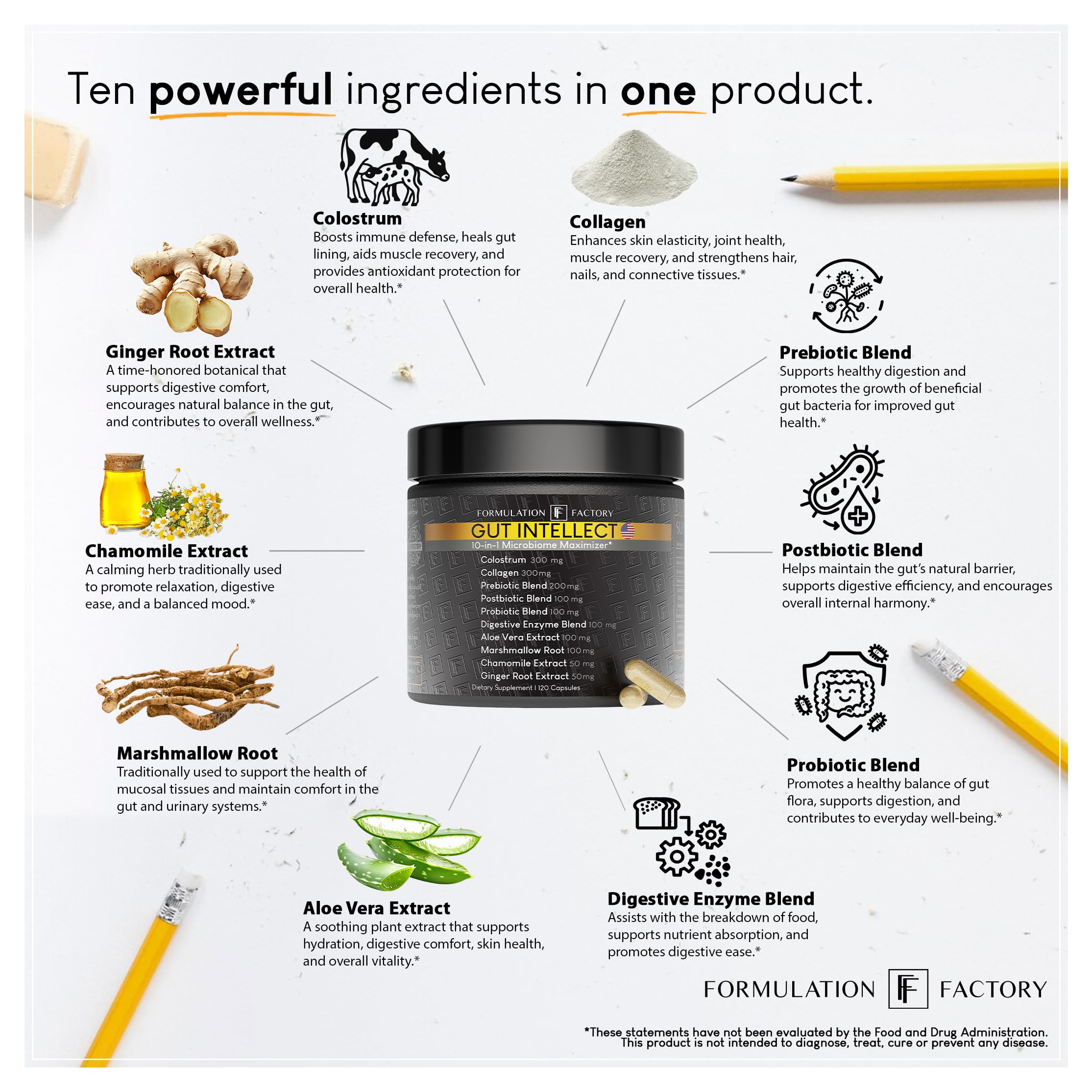 Formulation Factory Gut Intellect capsules close up for easy swallowing
