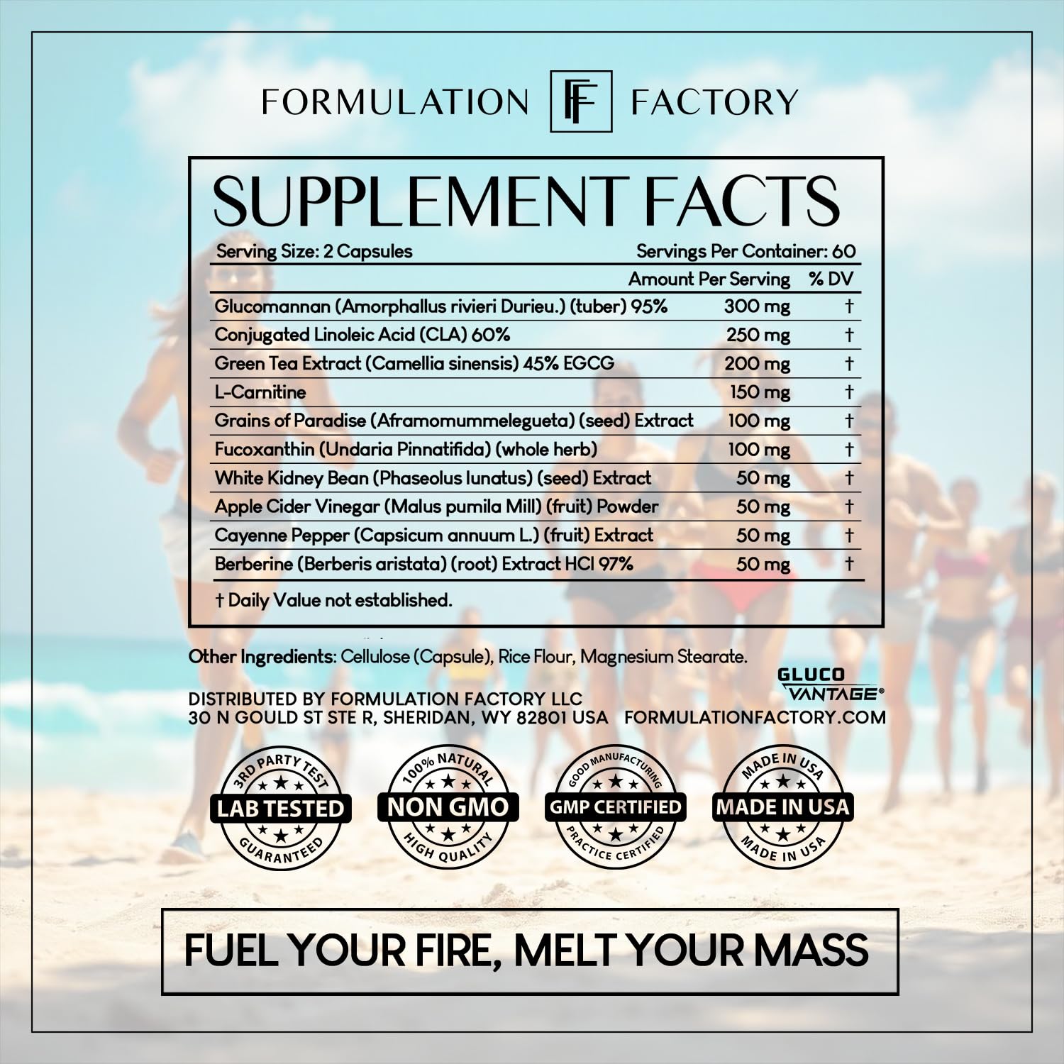 Formulation Factory Melt Mode ingredients list featuring green tea and L-carnitine