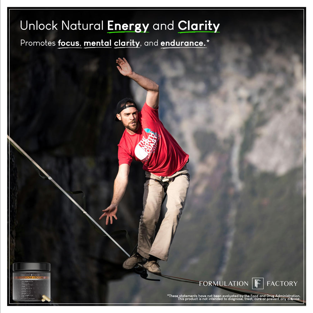 Formulation Factory Shroom Vroom Reishi capsules, associated with calm energy and recovery.