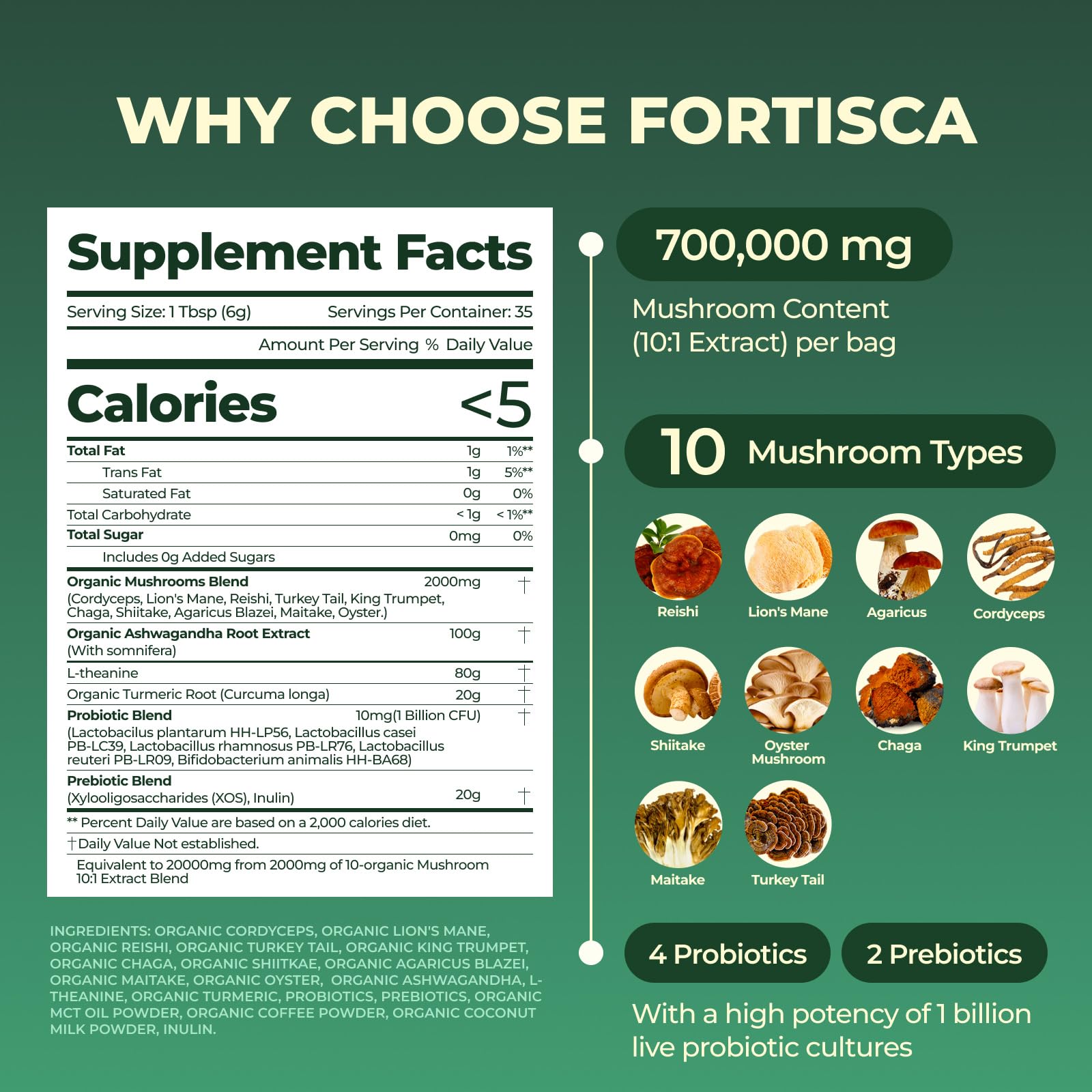 Fortisca Mushroom Coffee cup with foam showing smooth, low-acid taste and focus.