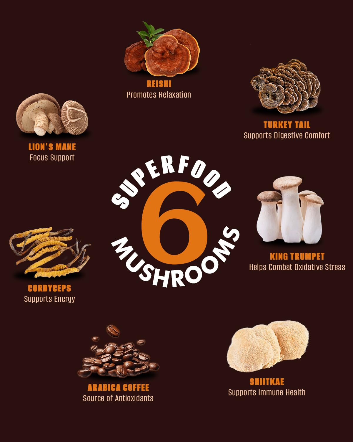 FORTISCA Mushroom Coffee packaging shows vegan, clean ingredients and easy prep