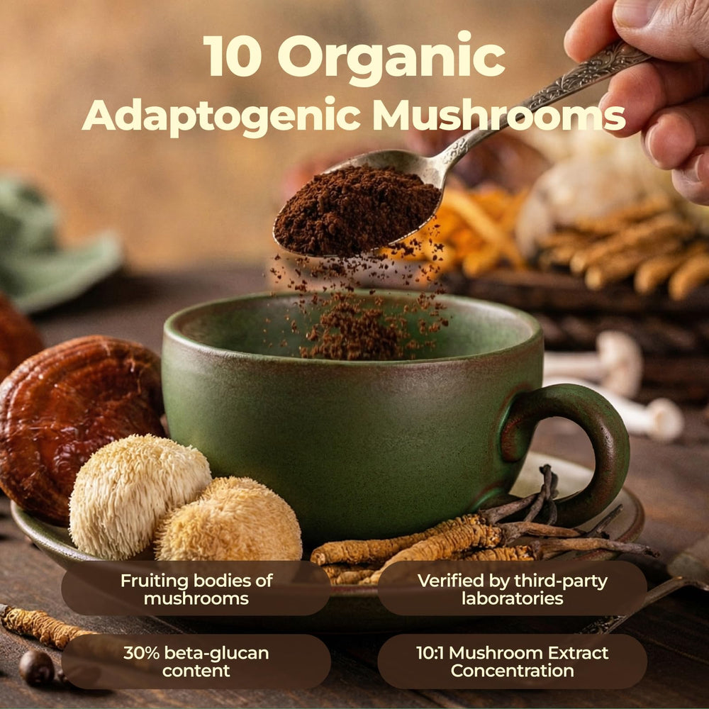 Fortisca Mushroom Coffee resealable pouch signaling freshness and portability.