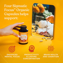 Four Sigmatic Focus on desk during study session for sustained attention
