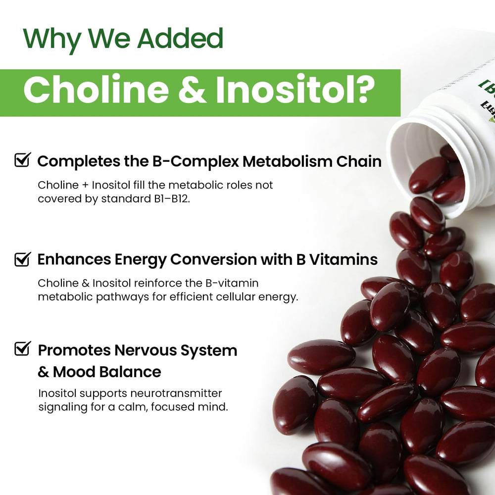 Franguly Liposomal B Complex active vitamin forms illustration for absorption