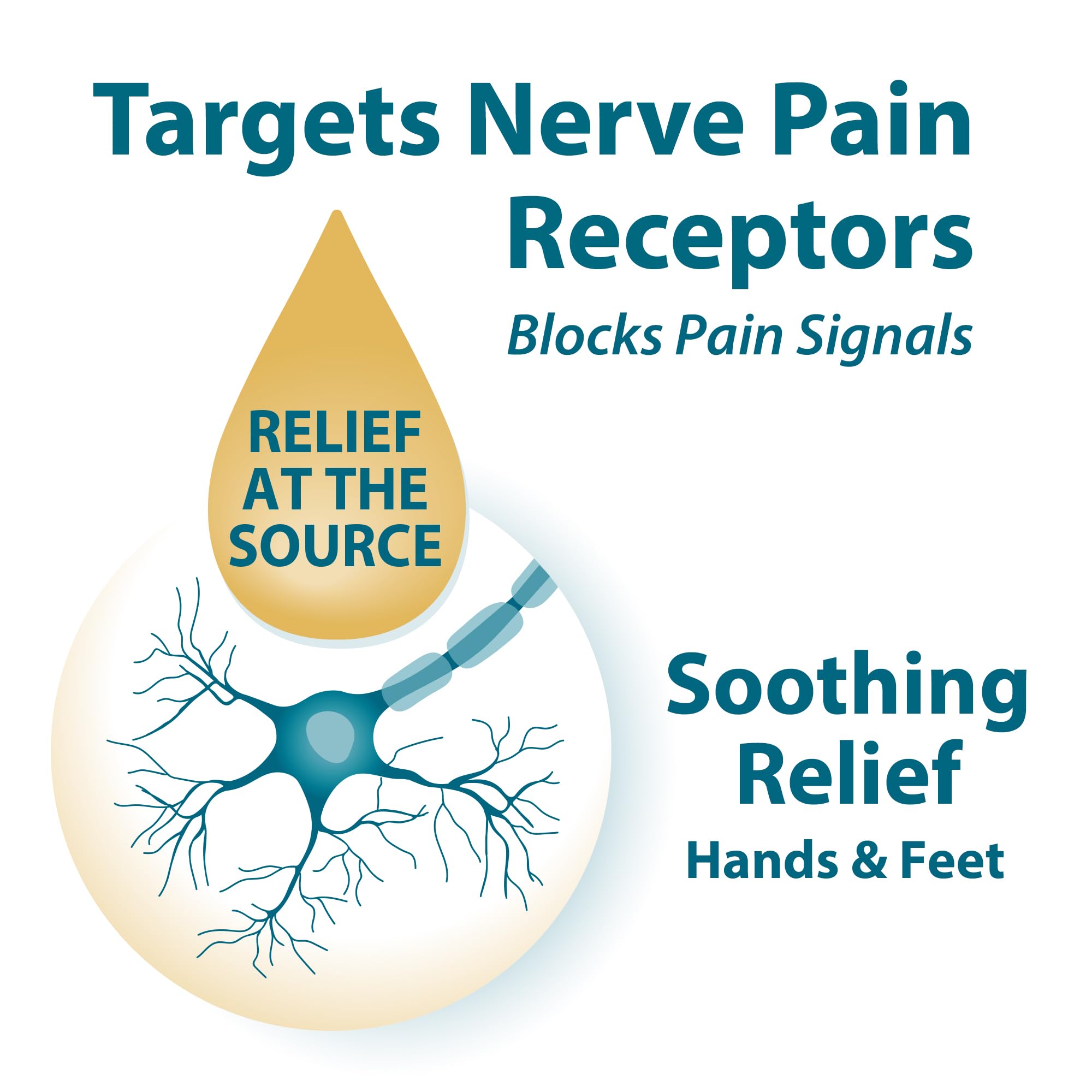 Frankincense & Myrrh application on the foot supports nerve comfort.