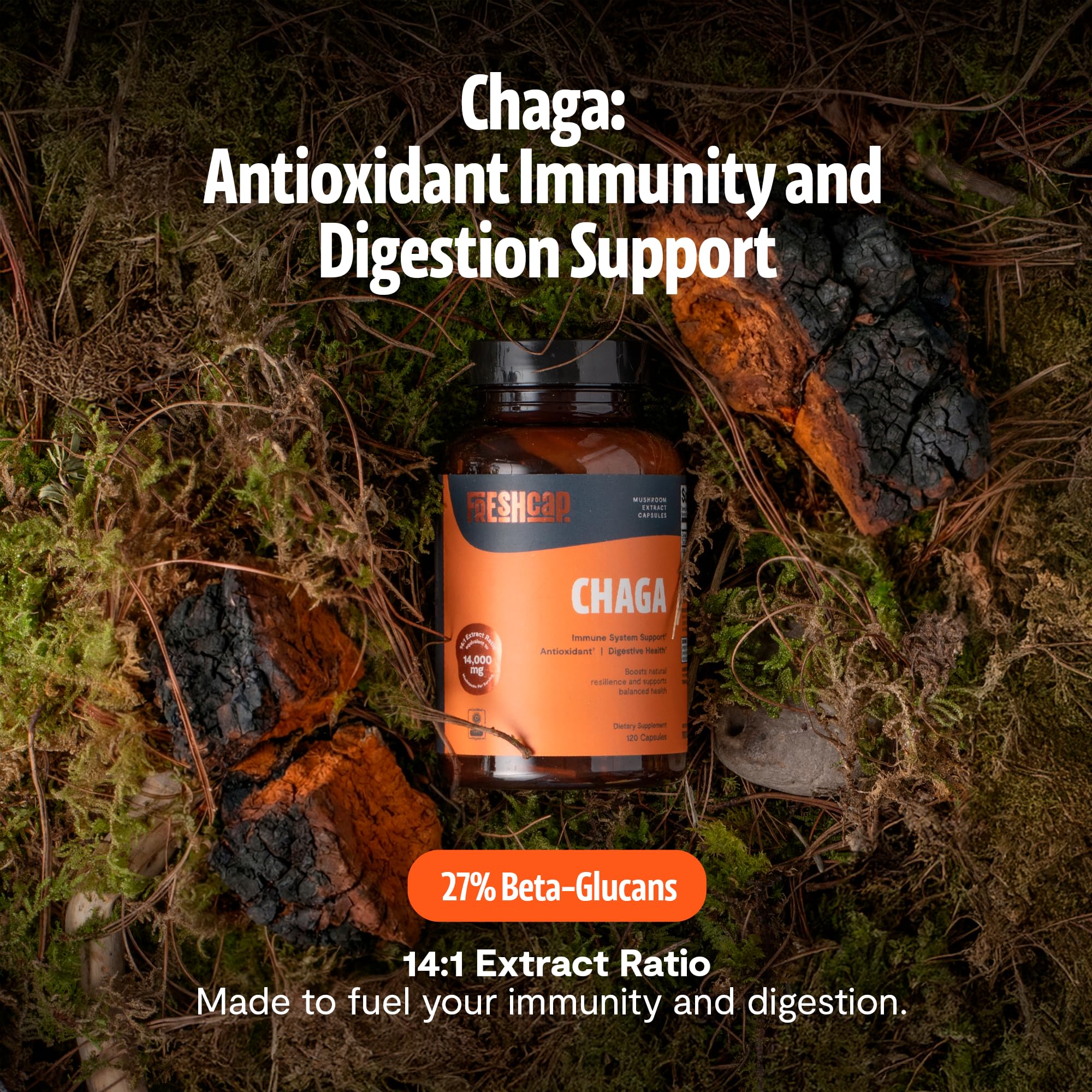 FreshCap Chaga capsules bottle back label, shows organic, dual-extracted formula.