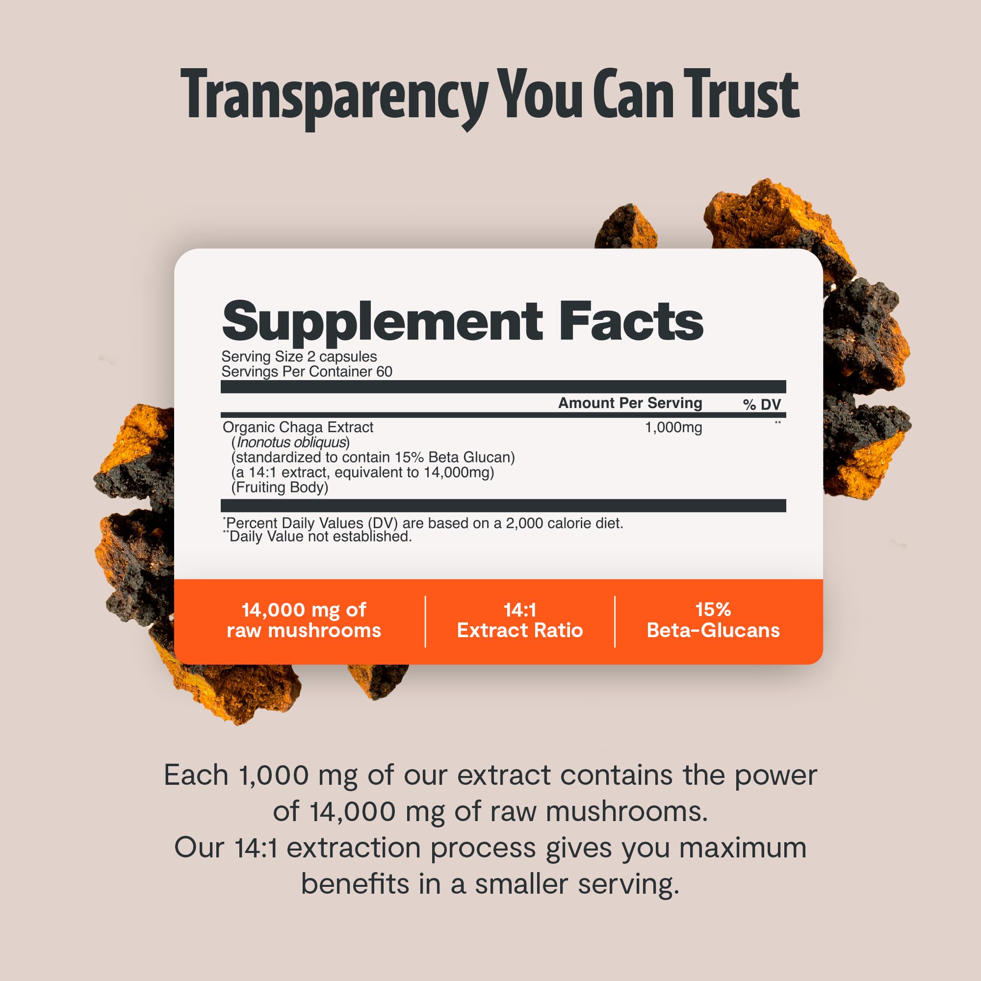 FreshCap Chaga capsules closeup, capsule texture and coating detail.