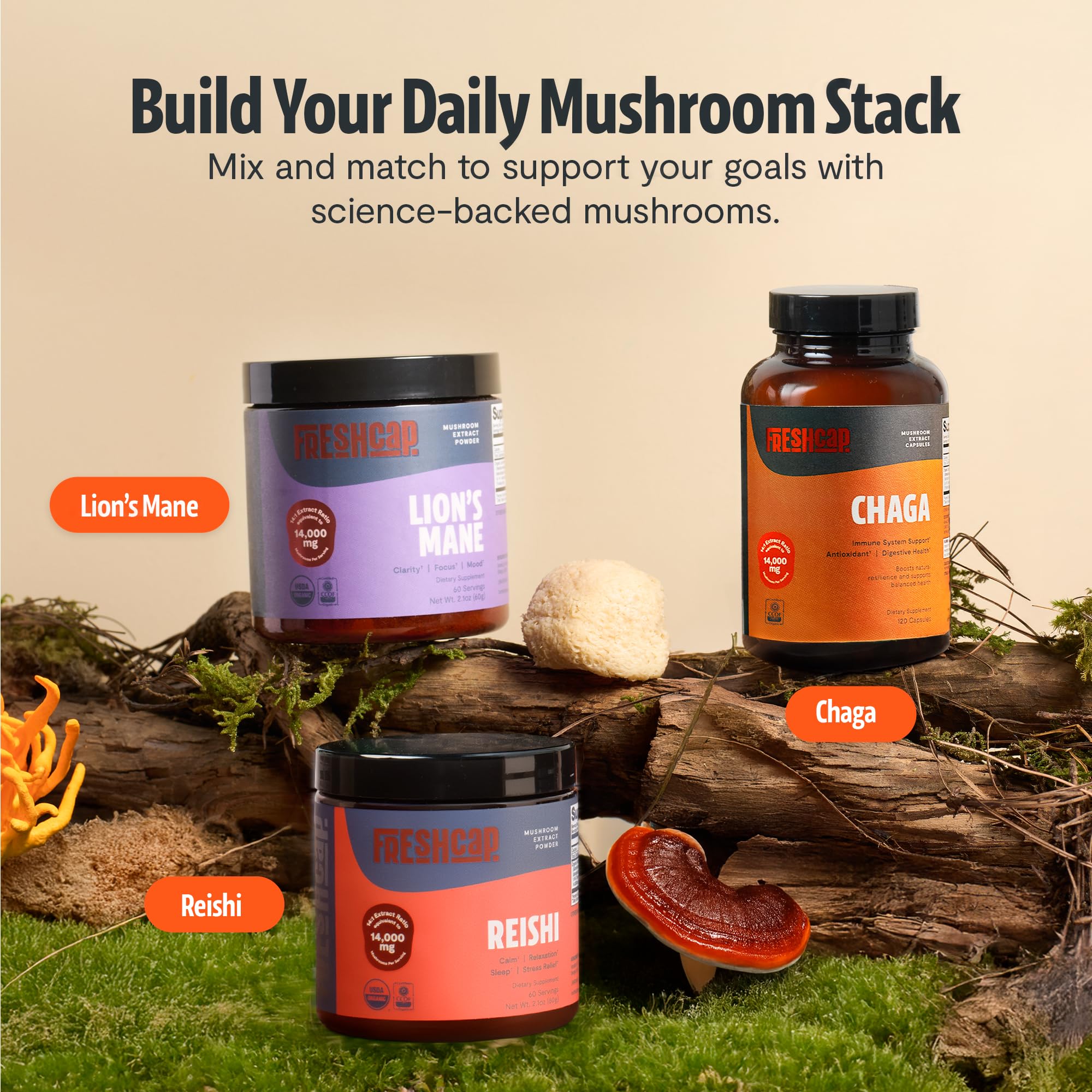FreshCap Chaga capsules daily-use setup, simple routine for consistency.