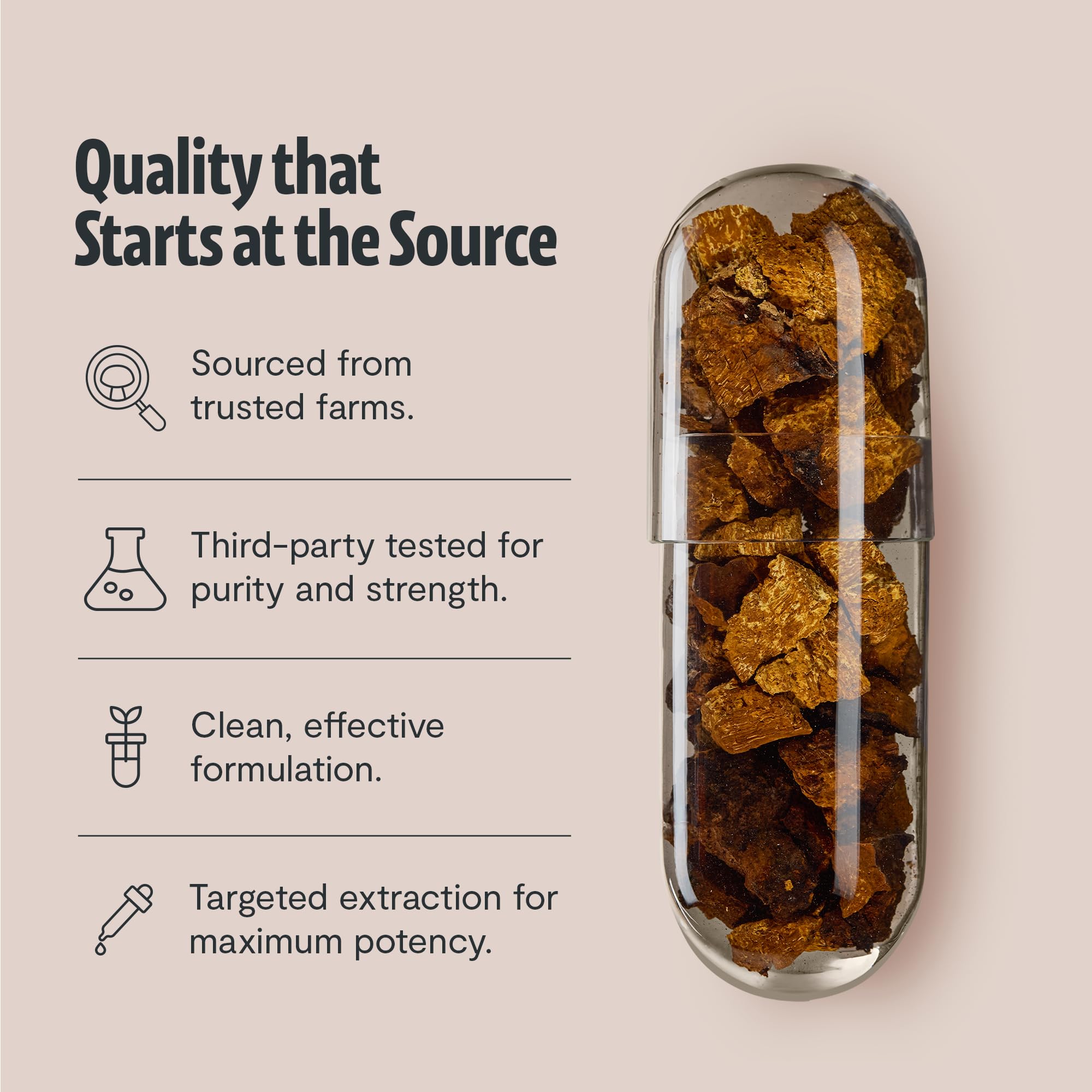 FreshCap Chaga capsules in hand, portable daily immune support.