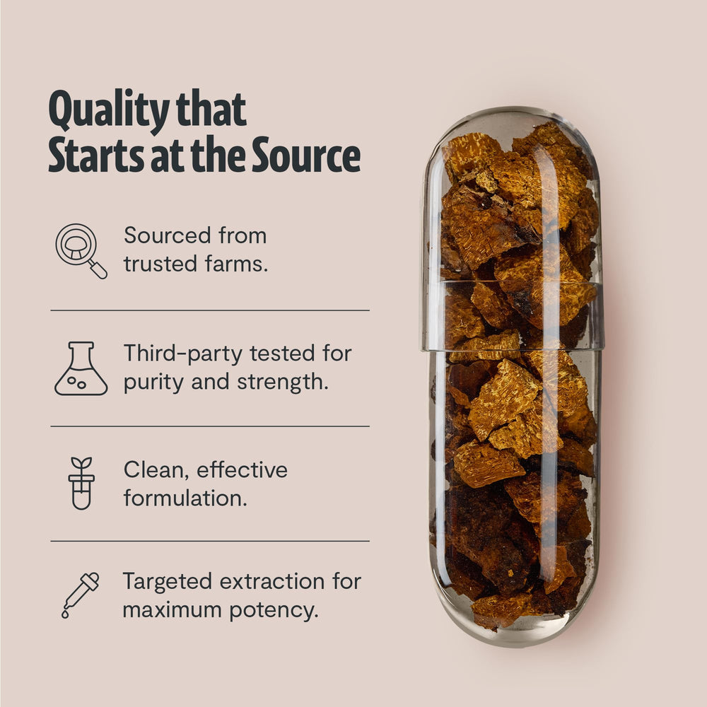 FreshCap Chaga capsules in hand, portable daily immune support.