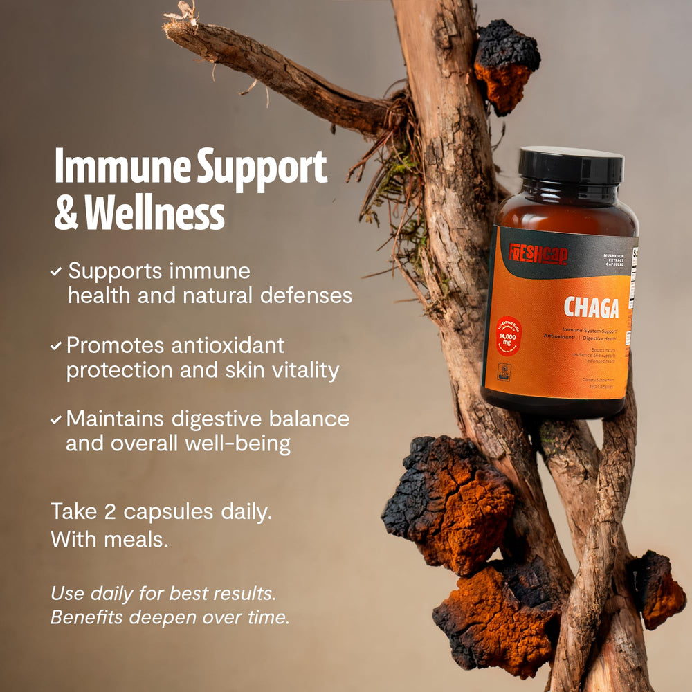 FreshCap Chaga mushrooms raw form, natural whole fruiting body highlight.