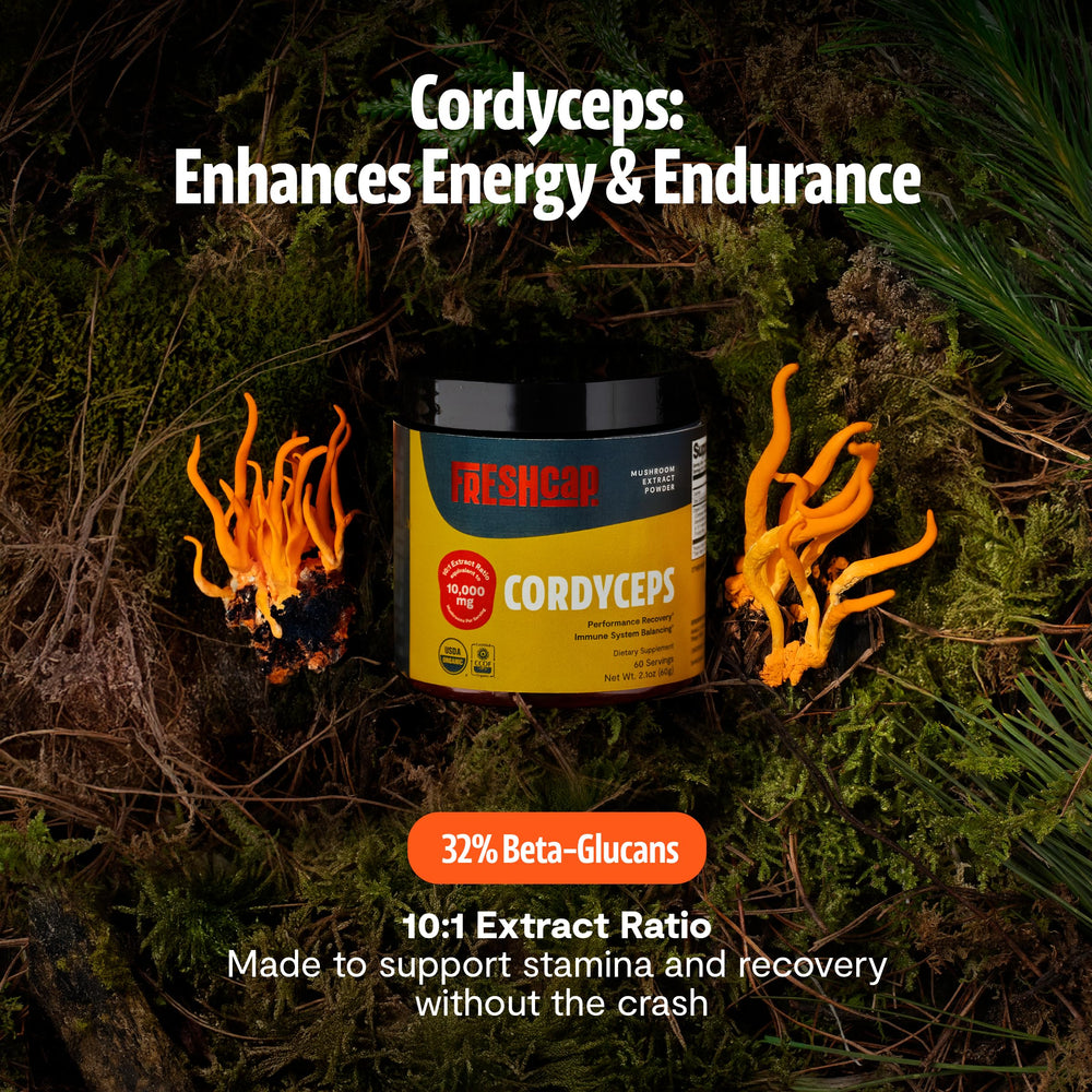FreshCap Cordyceps powder scoop highlighting fine texture.