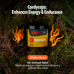 FreshCap Cordyceps powder scoop highlighting fine texture.