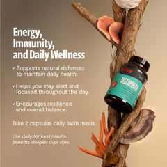 FreshCap Lion's Mane capsules highlighting memory and focus potential.