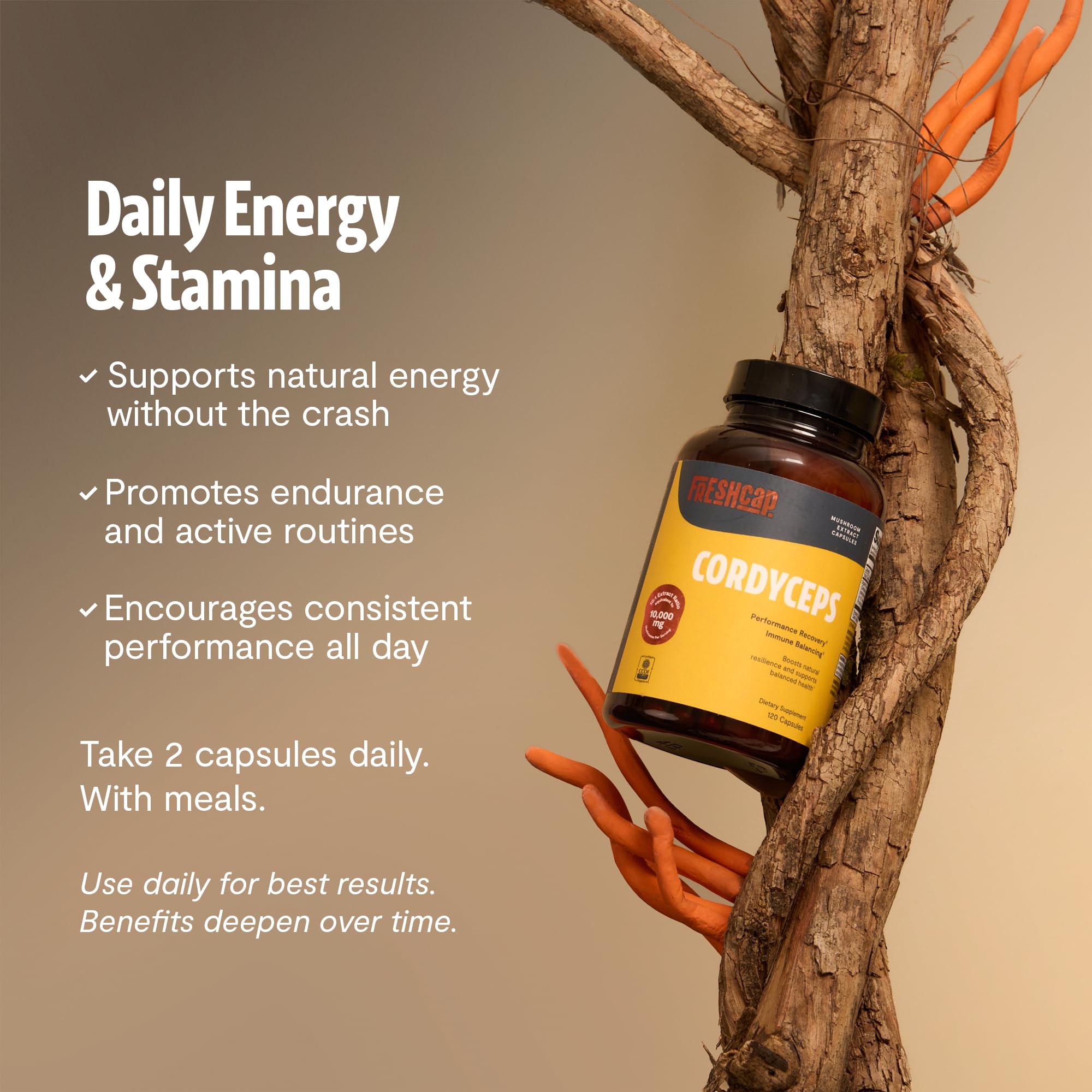 FreshCap Mushrooms Cordyceps capsules close-up of water-extracted process