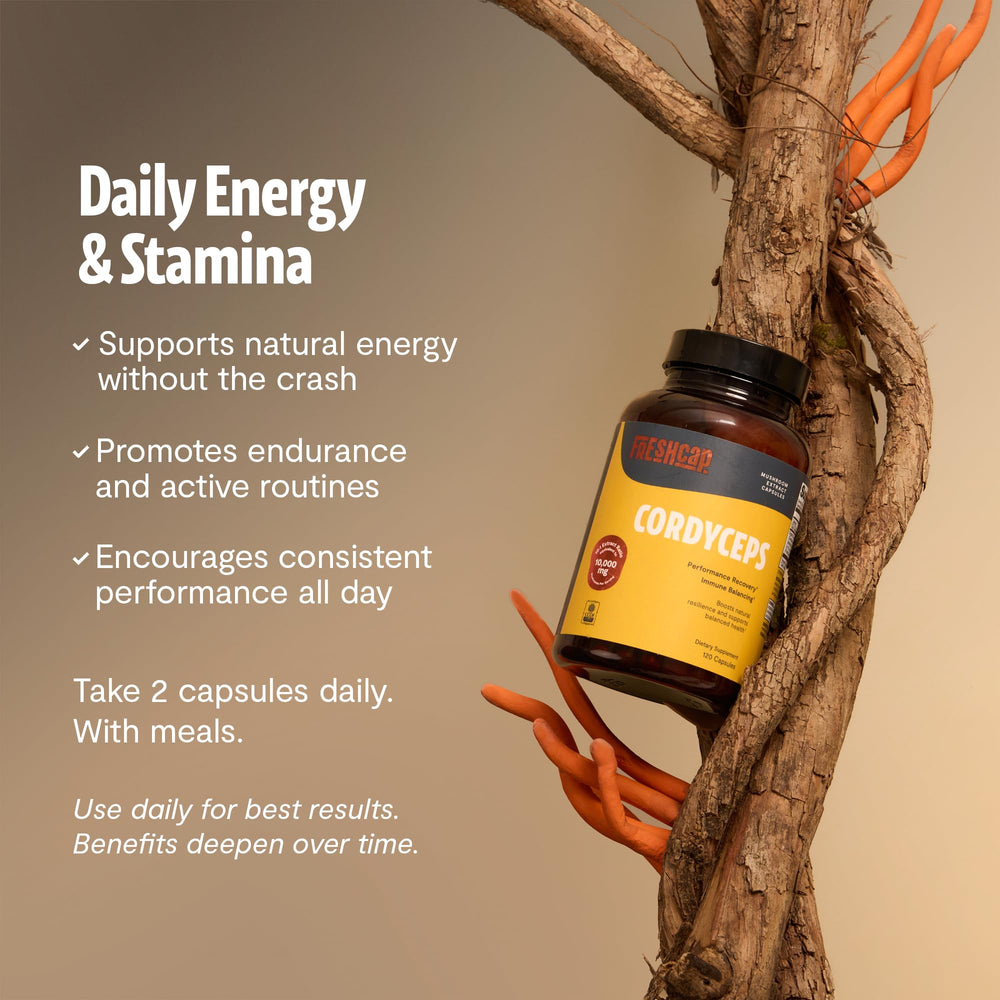 FreshCap Mushrooms Cordyceps capsules close-up of water-extracted process