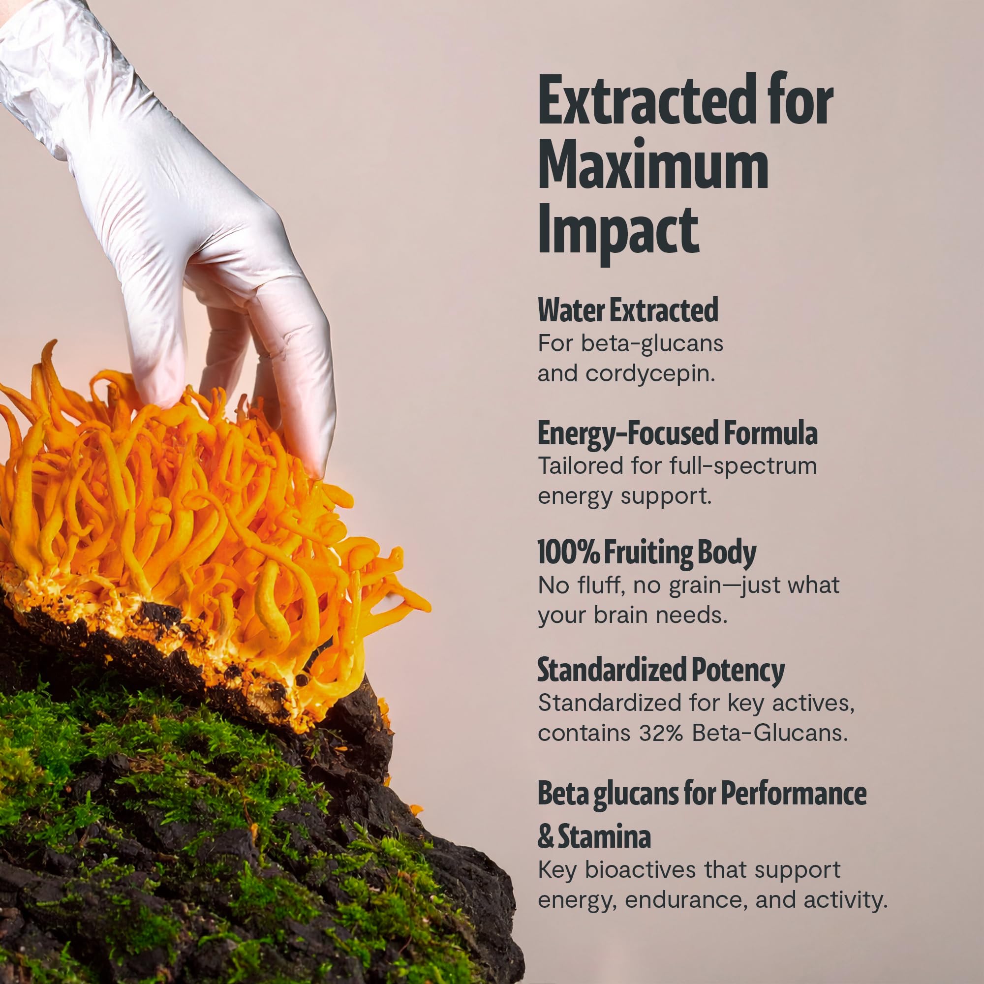 FreshCap Cordyceps capsules pouring from bottle for daily vitality