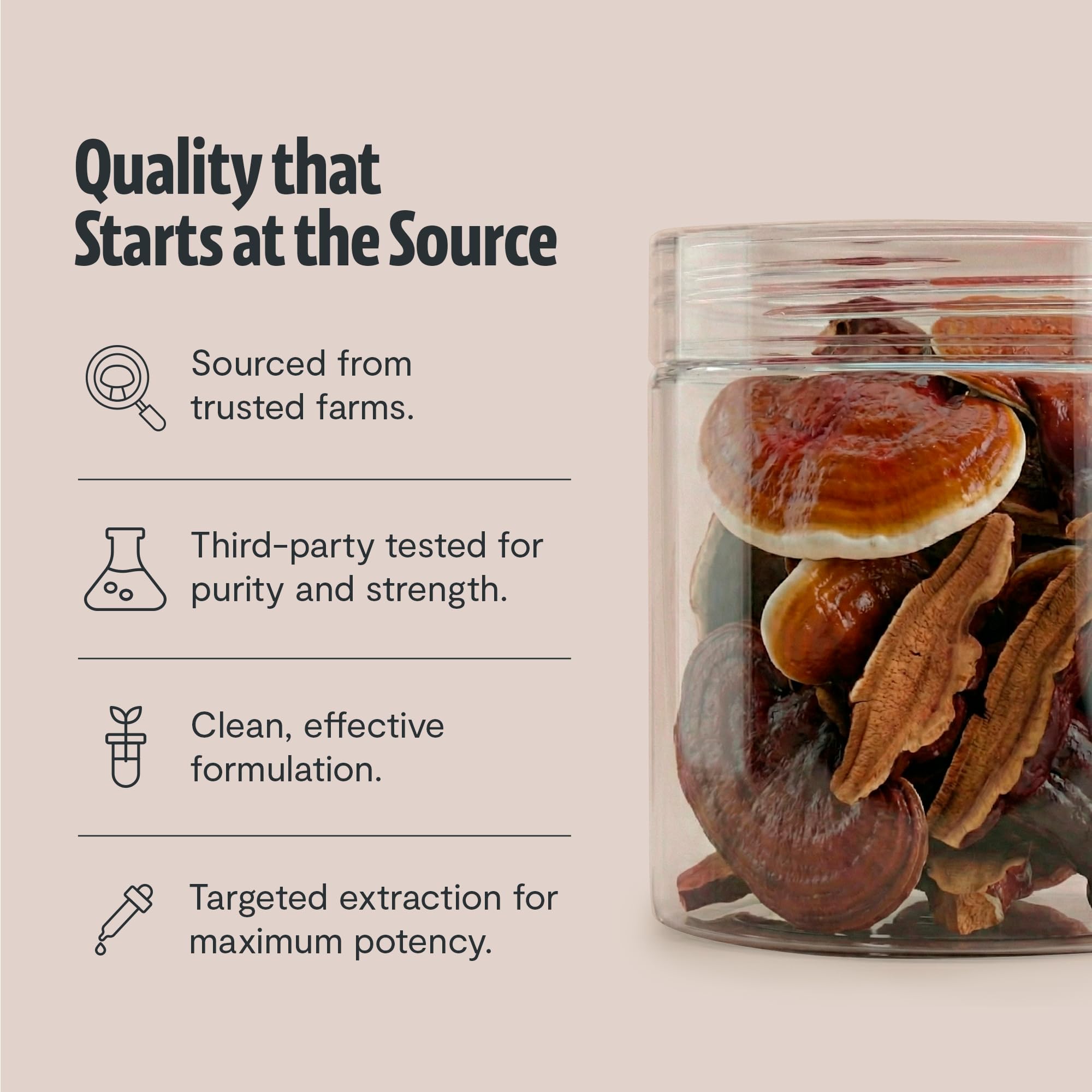 FreshCap Mushrooms Reishi powder raw fruiting body closeup, pure ingredients.