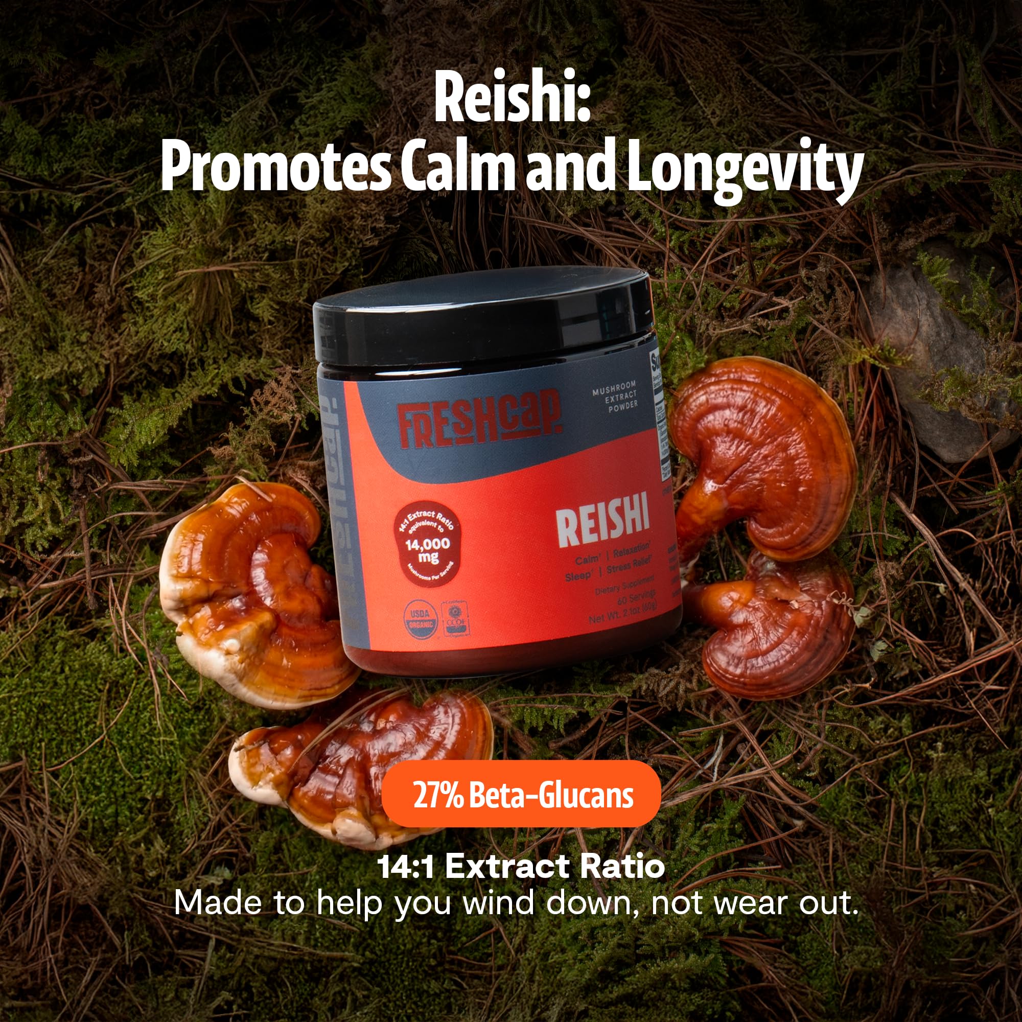 FreshCap Mushrooms Reishi powder scoop in jar, convenient daily serving.