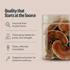 FreshCap Mushrooms Turkey Tail Powder added to tea for versatile consumption.