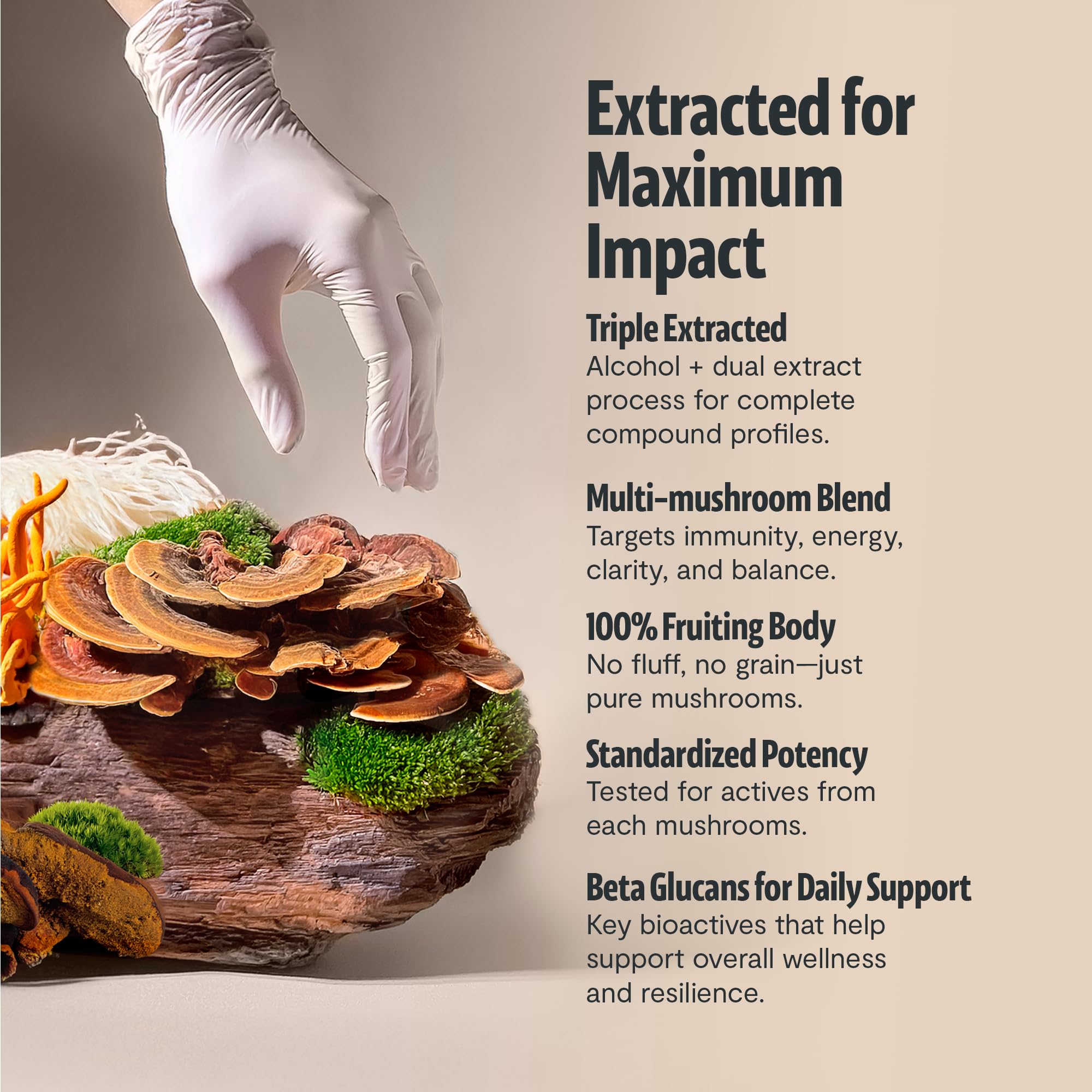 FreshCap six-mushroom complex visual emphasizing synergy for daily vitality.