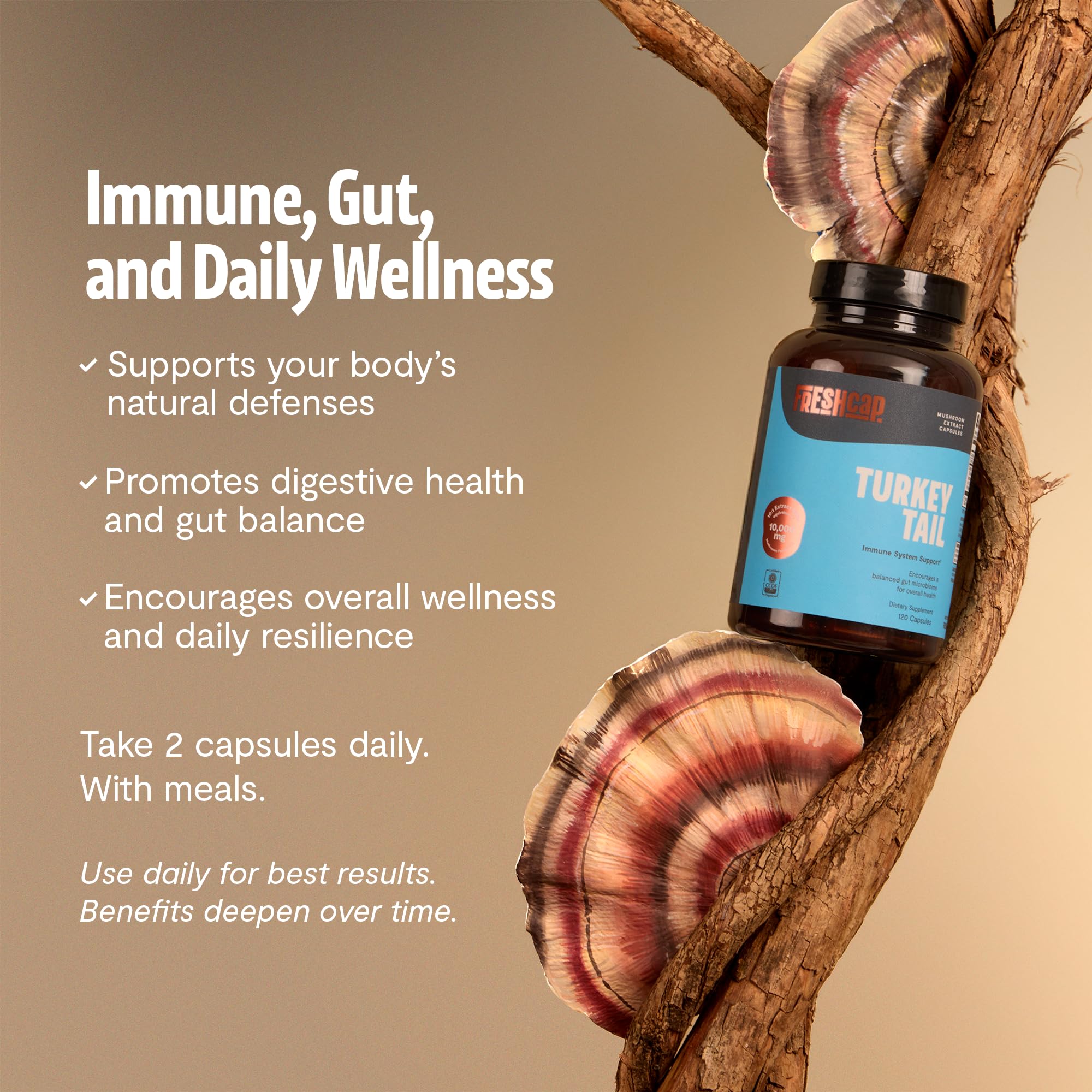 FreshCap Turkey Tail capsules in hand for routine wellness