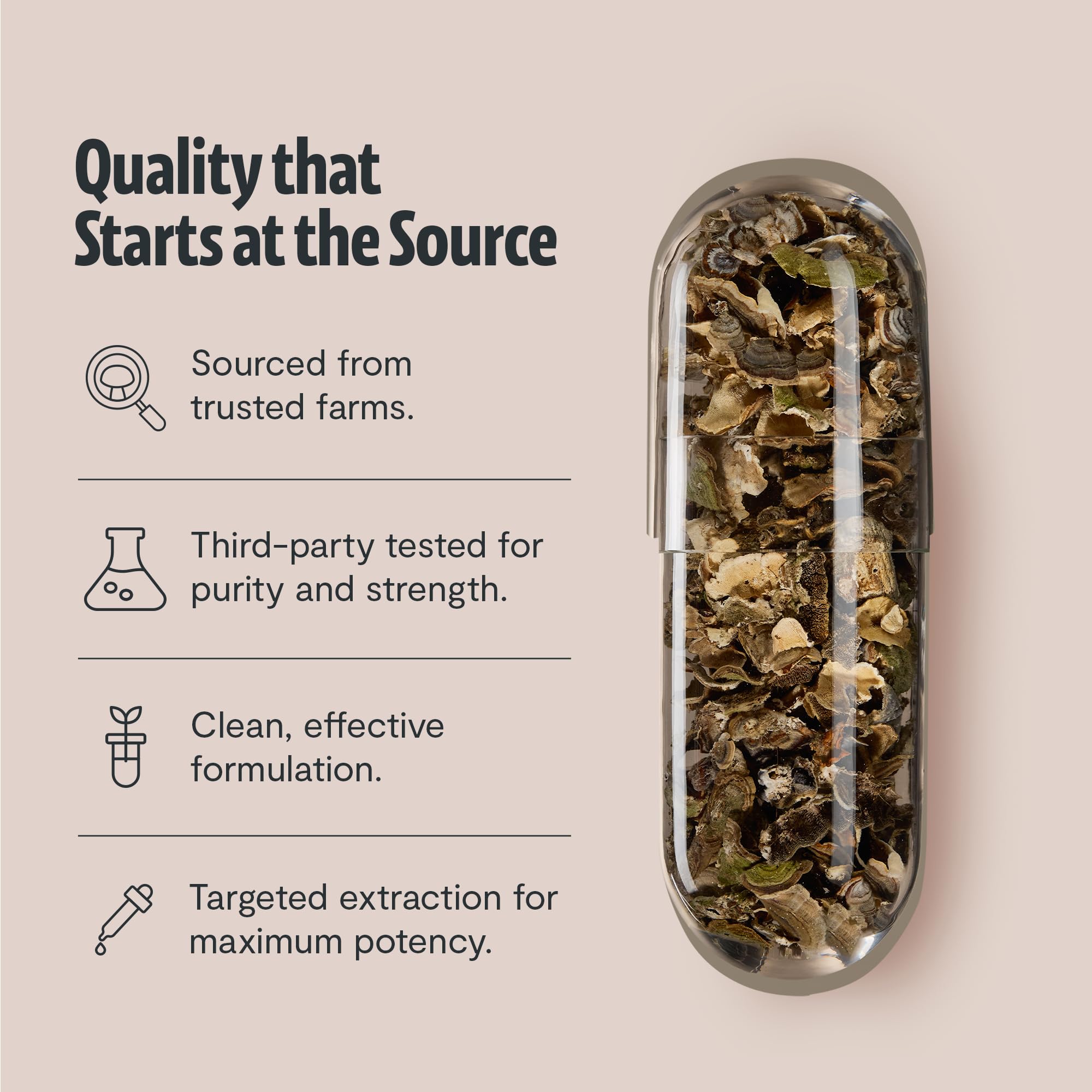 FreshCap Turkey Tail extract visual—potent extract from organic sources